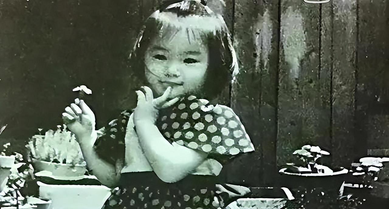 HTH.com-堕落的“清纯女星”酒井法子,这张腿间蝴蝶背后,隐藏着的故事
