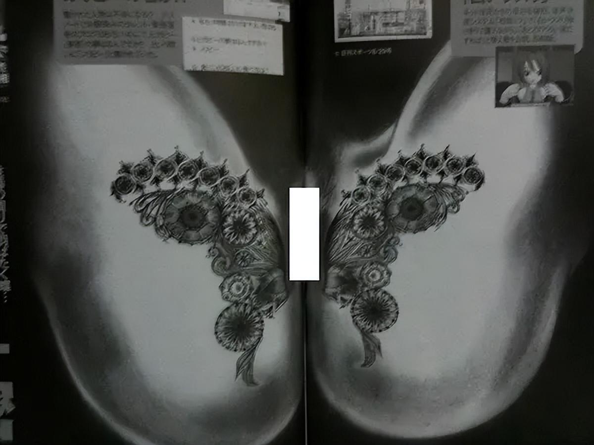 HTH.com-堕落的“清纯女星”酒井法子,这张腿间蝴蝶背后,隐藏着的故事
